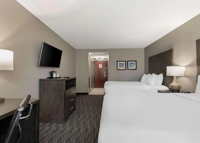 Comfort Inn & Suites Near Medical Center