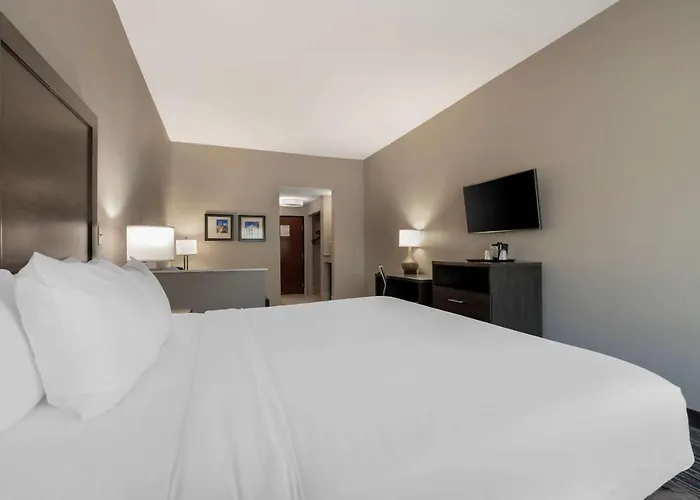 Comfort Inn & Suites Near Medical Center